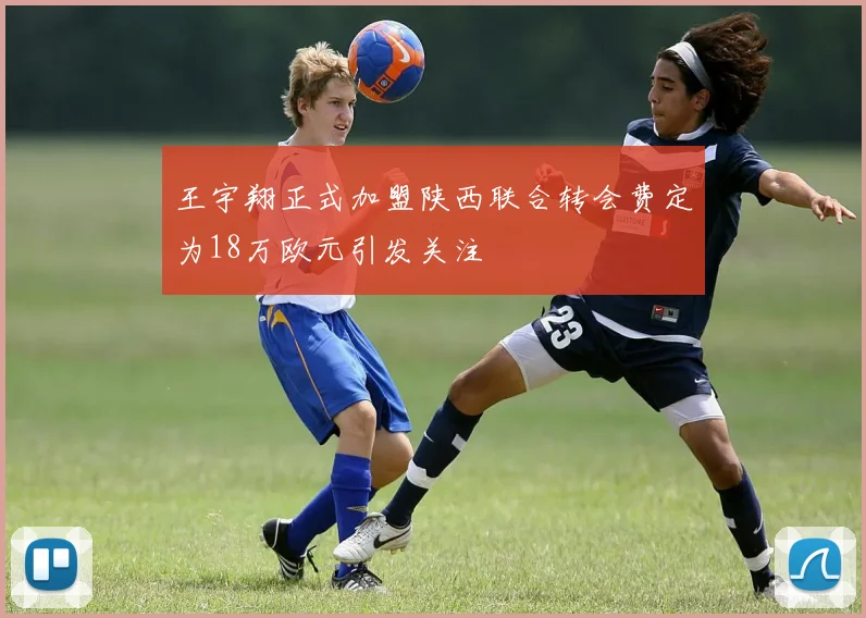王宇翔正式加盟陕西联合转会费定为18万欧元引发关注